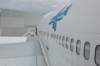 boing737wingview_small.jpg