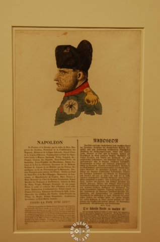 sarcastictextaboutnapoleon.jpg