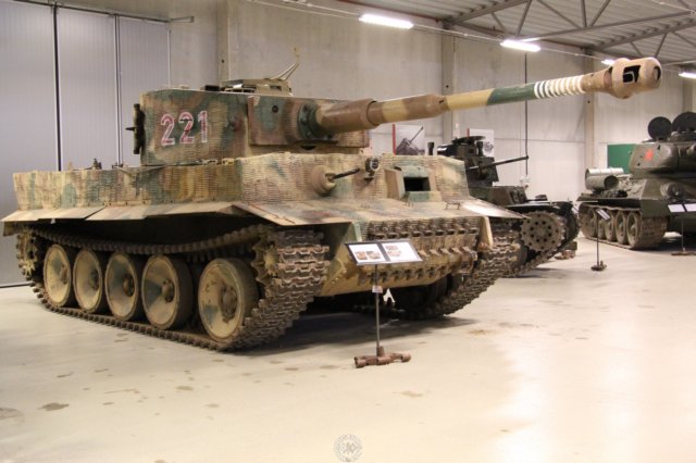 tiger1.jpg