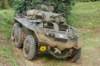 m8greyhound_small.jpg