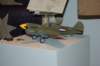 p40kittyhawk2_small.jpg