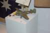 p40kittyhawk_small.jpg