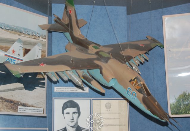 su25frogfoot.jpg