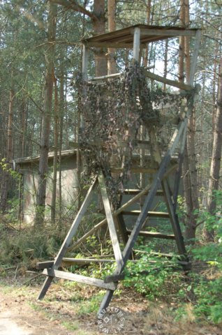 woodenwatchtower.jpg