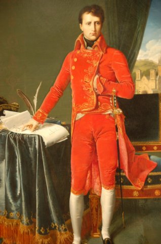 portraitofnapoleon.jpg