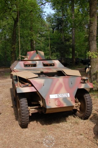 sdkfz2503.jpg