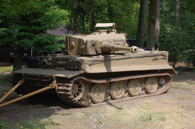 tiger2.jpg