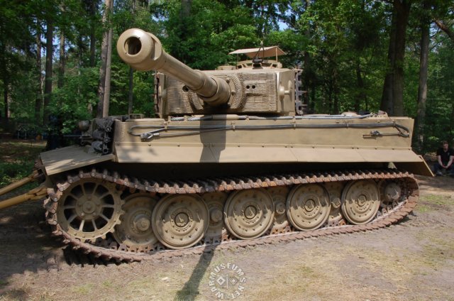 tiger3.jpg