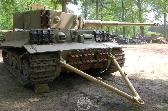 tiger4.jpg