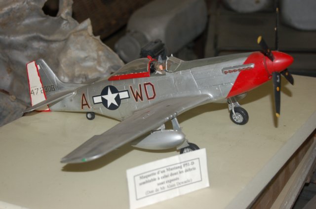 p51dfighterscalemodel.jpg