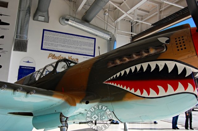 p40.jpg