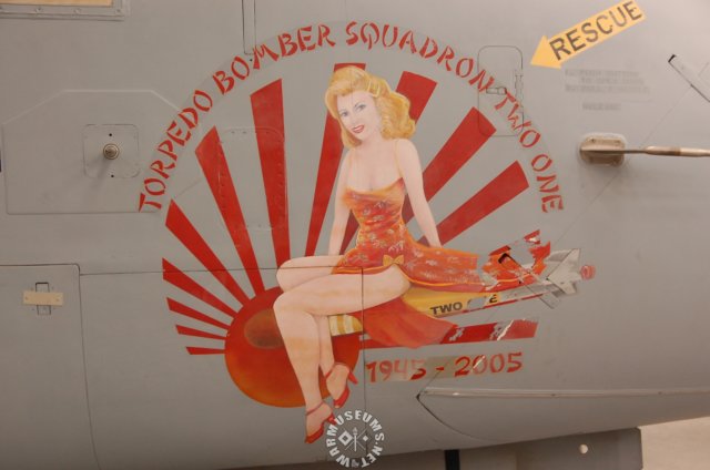 s3bvikingbombersquadronmarkings.jpg