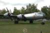 tu4bull2_small.jpg