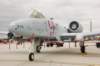 a10_small.jpg