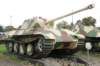 panthera194345_small.jpg