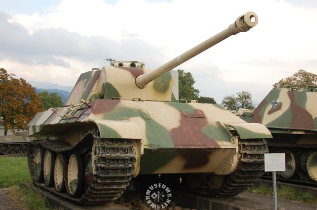 panthera2.jpg