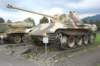 panthera_small.jpg