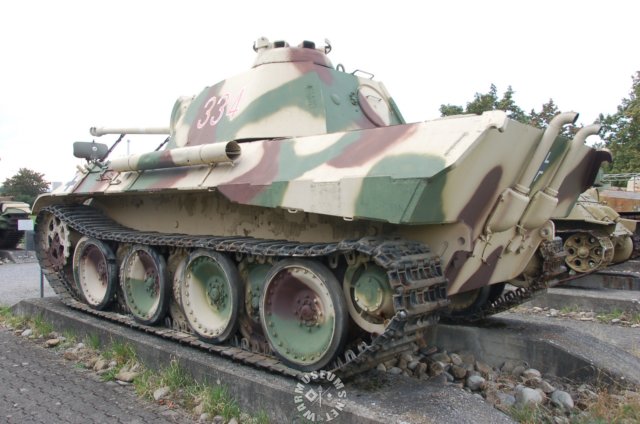 pantherarearview.jpg