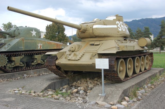 t3485.jpg