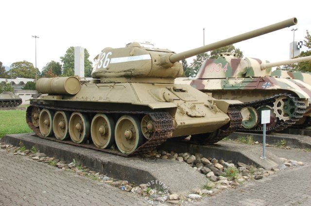 t3485194446.jpg