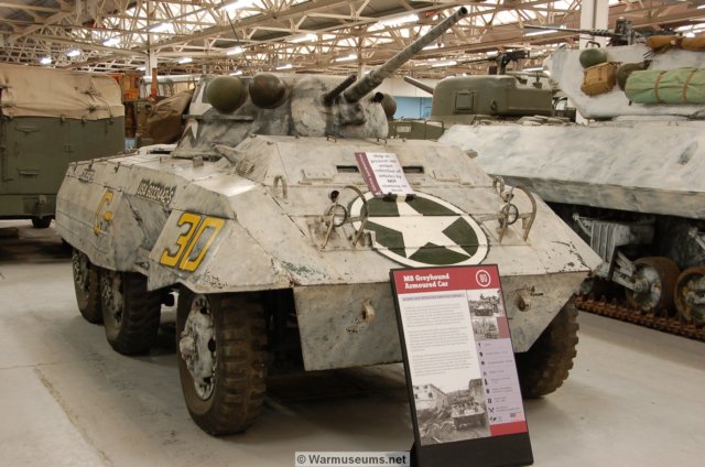 m8greyhound.jpg