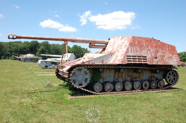 nashorn4.jpg