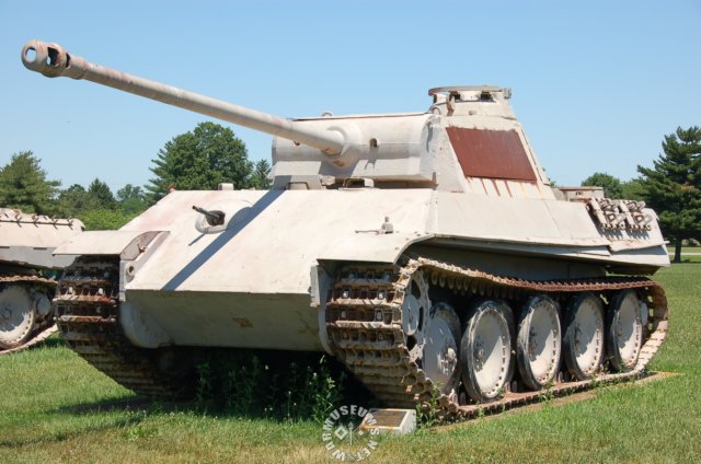 panther2.jpg