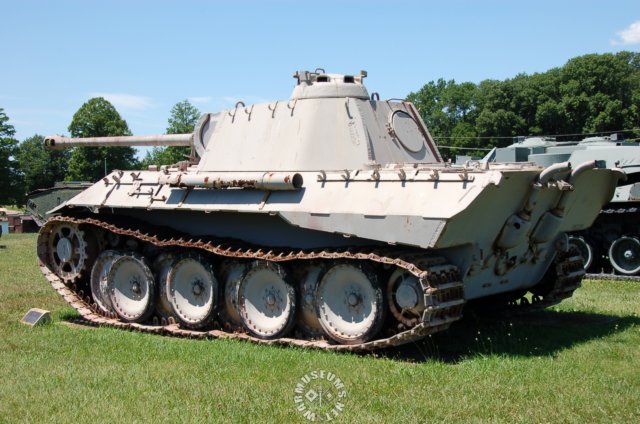 panther5.jpg