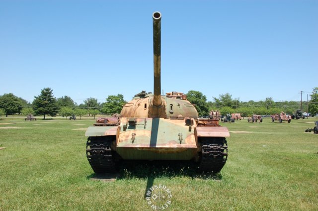 t542.jpg