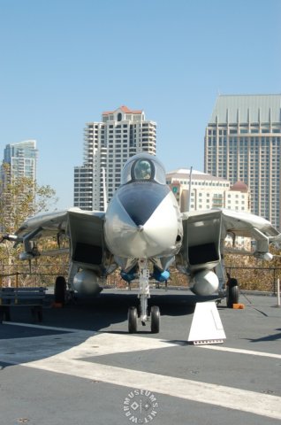 f14tomcatfrontview.jpg