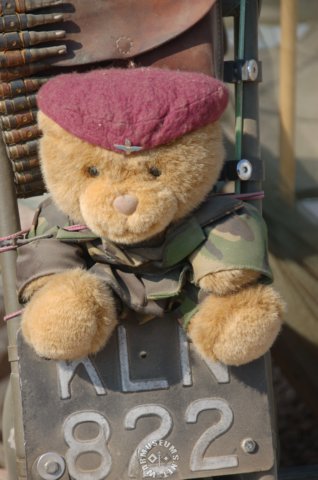 teddybearparatrooper.jpg