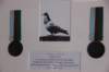 adecoratedpigeonduetoalongdistanceflightmemberofthenationalpigeonservice_small.jpg