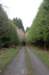 insidetheforest_small.jpg