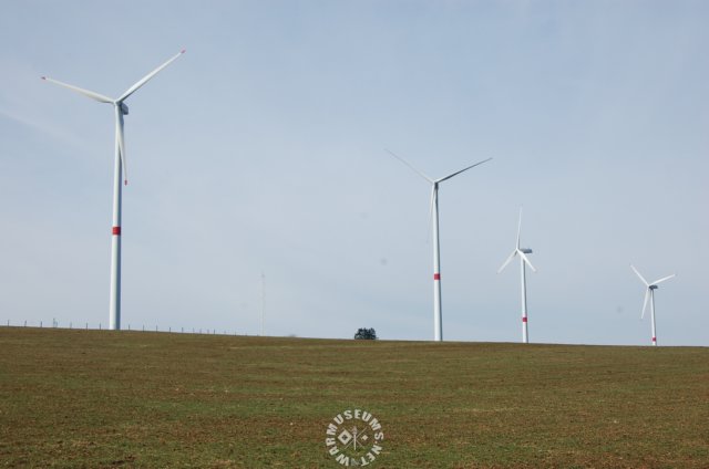 windpumpsnearlyallalongthewalk.jpg