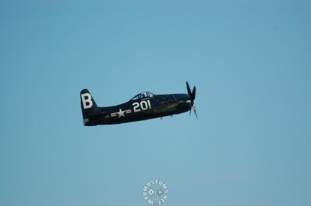f8fbearcat.jpg