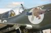 p51bmarkings_small.jpg