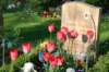 graveofachild2_small.jpg