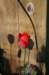 graveofachild3_small.jpg