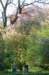 gravesunderatree_small.jpg