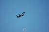 f1511_small.jpg