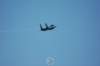 f154_small.jpg