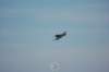 mig3_small.jpg