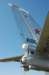 tu95beartail2_small.jpg