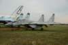 mig29fulcrum_small.jpg