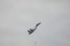 su302_small.jpg