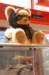 bigsizedteddybearwithsoptwithpupscalemodel_small.jpg