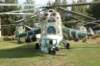 hind24d_small.jpg
