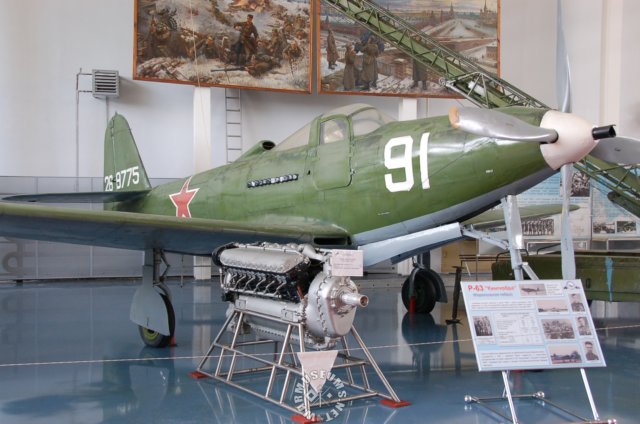 p63kingcobra.jpg