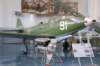 p63kingcobra_small.jpg