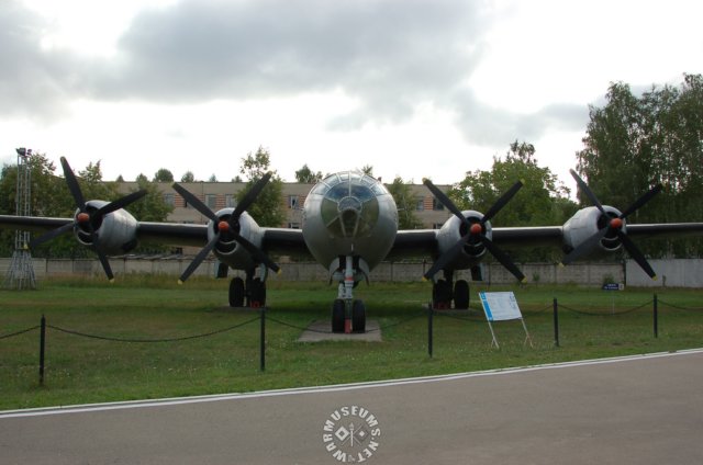tu4bull.jpg